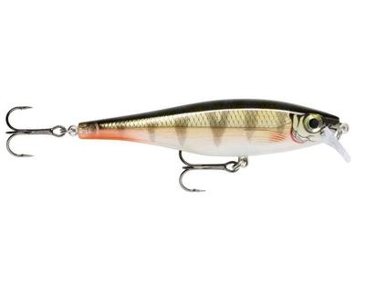 BX Minnow 07 RFP